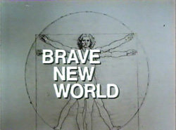 Stojo Brave New World 1980 DVD